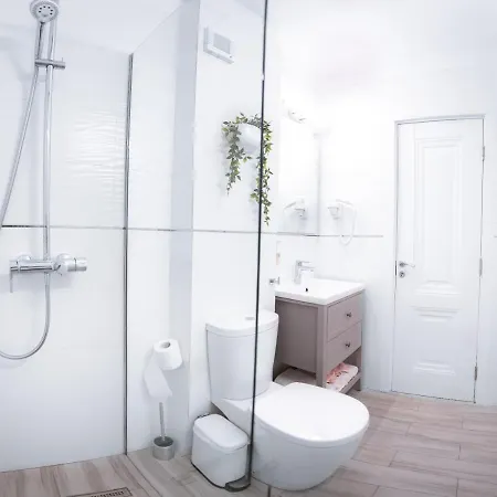 Apartament Vladut *